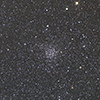 Caroline's Rose Cluster